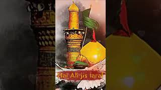 Apna qibla Ali apna kaba Ali. Apni manzil Ali apna rehbar Ali. #viral #ali #karam #karbala #shorats