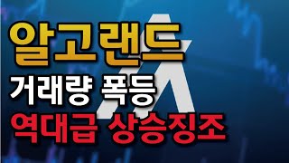 [알고랜드] 트럼프 취임식 코앞! 대폭등 직전 미국코인 거래량폭등 알고랜드전망