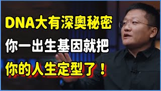 在你出生時，你的命運就早被決定了？DNA大有深奧秘密，你一出生基因就把你的人生定型了！  #talkshow #圆桌派 #窦文涛 #脱口秀 #真人秀 #圆桌派第七季 #马未都