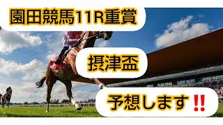 園田競馬11R重賞(摂津盃)を予想してみました！！