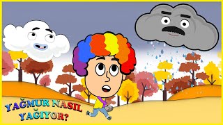 HOW IS IT RAINING? 🌨️ Children's Songs - Funny Children's Cartoons - Educational Video