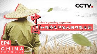 《中国方程式》第4集 如何满足14亿人的口腹之欲？China Formula EP4【CCTV纪录】