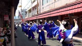 愛媛よさこい暁 ~ えひめYOSAKOI祭り2017（本町演舞場）