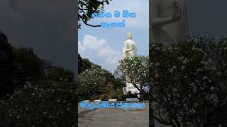 මාදුරුඔය ජලාශය 😉😉😉