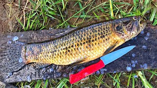 PESCANDO E FRITANDO!! Aprenda a fazer traíra frita sem espinhos.