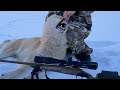 WOLF HUNTING HIGHLIGHTS