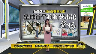 与主人共享美术空间 全球首个狗狗艺术馆登场 | 八点最热报 09/08/2021 | #KauBoleh