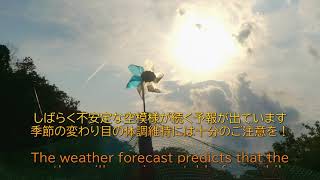 里山散歩　紫陽花色づき始め、ルリシジミ・ラミーカミキリなど　　2024. 6. 1.　（4K）