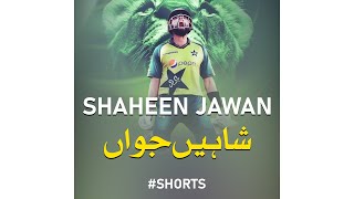 Tribute To Pakistan Cricket Team - Shaheen Jawaan - Rao Mutahir - Peace Studio Shorts #shorts