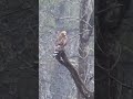 hawk shakes off water from the rain