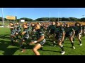 New Zealand Maori Rugby League Haka 2010.flv