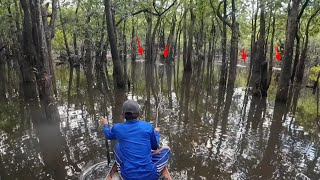 MANCING PAKAI JORAN KAYU