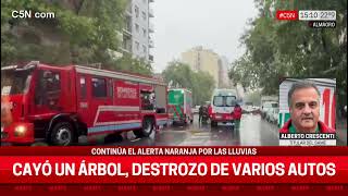 En medio del TEMPORAL, se CAYÓ un ÁRBOL y APLASTÓ un AUTO en ALMAGRO