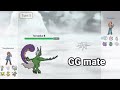 no guard tornadus therain never misses hurricanes and focus blast in aaa