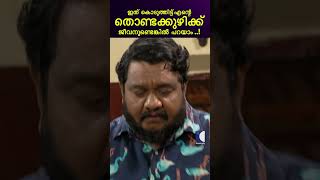 ആ കറി ഞാൻ കൈ കൊണ്ട് തൊടില്ല! #aliyans #comedyserial #kaumudy