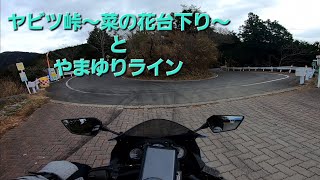 Ninja250R　ヤビツ峠～菜の花台下り～やまゆりライン