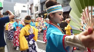 ほにや　高知よさこい２０１７　11日　柳町　４ｋ