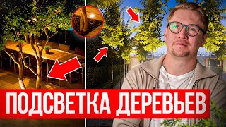 Декоративная ПОДСВЕТКА ДЕРЕВЬЕВ на участке. Светильники для ландшафта | Ландшафтное освещение