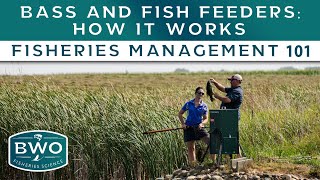 How Fish Feeders Work For Your Pond - Fisheries Management 101