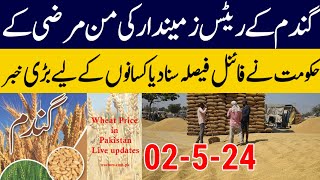 Wheat price in Pakistan 2024/wheat price in punjab 2024 gundam