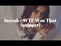 lozeak - WTF Was That (snippet)