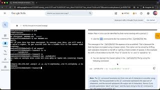 Activity: Decrypt an encrypted message
