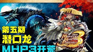 手殘少女的魔物獵人P3開荒第五期 磨刀石的重要性