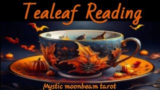 Channelled Tealeaf Session ☕️ Whatever Comes Out 🍂 Quick Messages 🎃 ✨️