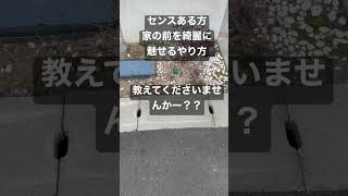 〔別居夫婦〕やる気の出て来た夫にご指導くださいませ。#shorts #vlog #別居