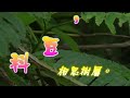 台灣. 中國藥用植物學會 介紹民俗植物 及民間常用青草藥藤相思 別名：五龍蘭，白來葉刺，白內葉刺，煞草，虱篦藤。