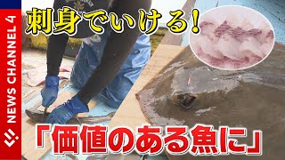 食べて驚き！”未利用魚”を「価値のある魚に」　地域の漁業守るチャレンジ＜NEWS CH.4＞