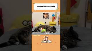 猫：难不成，我是年兽#猫咪脱敏春节专项训练#猫咪无语#萌宠#猫咪回家过年#shorts