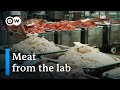 The world of meat substitutes | DW Documentary
