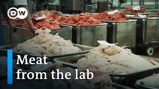 The world of meat substitutes | DW Documentary