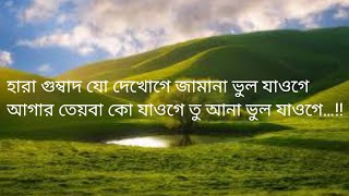 Hara Gumbad Jo Dekhoge lyrics||হারা গুম্বাদ যো দেখোগে জামানা ভুল যাওগে|| Bangla subtitle