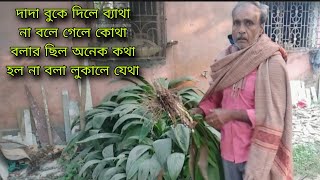 আশায় চাষা বাঁধে ঘড়,বীনা বিঘ্নে লক্ষ্মীর বড় || আছে ভেষজ ধন্বন্তর,সঠিক ব্যাবহার শক্তিধর