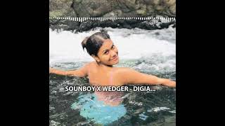 SOUNDBOY X WEDGER - DIGIA🥵🤌🏻