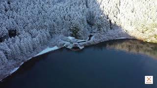 2020.1.19 箱根　雪景色