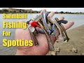 How to fish the swimbait for Spotted Bay Bass