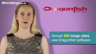 Online Bingo Software Guide