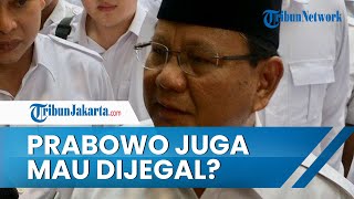 Ada Pihak yang Mau Jegal Prabowo, Gerindra Sebut Popularitas Ketum Diserang Dengan Cara Ini