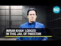 Imran Khan's House Raided, Moved To This Jail After Conviction In Toshakhana Case | Top Updates