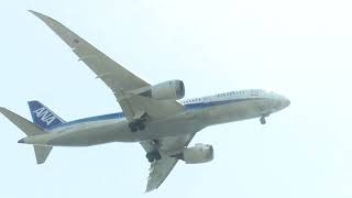 ２０２３年５月４日城南島海浜公園、カメラ設定を白すぎた、ＡＮＡ７８７