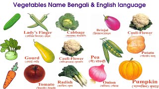 Vegetables Name Bengali \u0026 English language | Vegetables Name for kids | Vegetable Names with Picture