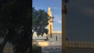 Ya konsa masjid hai in dubai #viralvideo #shorts