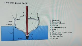 Amatör Denizci belgesi sınavı ve cevapları (adb) çıkan sorular 20.03.2022