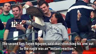 SEE: Bald Eagle Lands on Fans Before Cotton Bowl | WSB-TV