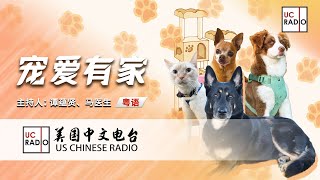 【宠爱有家】(粤) 狗狗发烧时该如何处理？