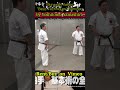 striking without the power of the arms 腕の力を使わない打撃 seminar by yoshitomo yamashiro short karate