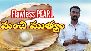 మంచి ముత్యం //Flawless PEARL//PARABLES OF JESUS //PASTOR JOHN PAUL.